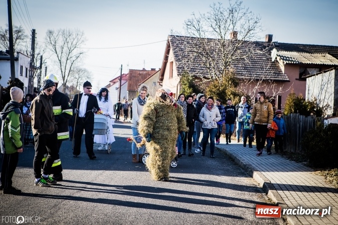 Zdjęcie w galerii na portalu naszraciborz.pl: Wodzenie niedźwiedzia - tradycyjne ostatki w Samborowicach wiadomości z regionu