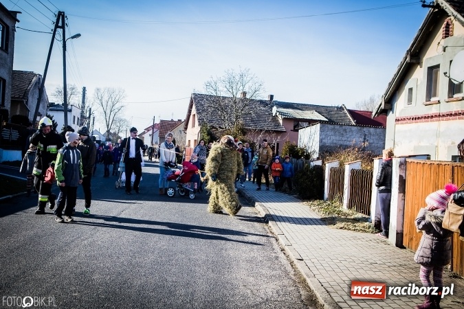 Zdjęcie w galerii na portalu naszraciborz.pl: Wodzenie niedźwiedzia - tradycyjne ostatki w Samborowicach wiadomości z regionu