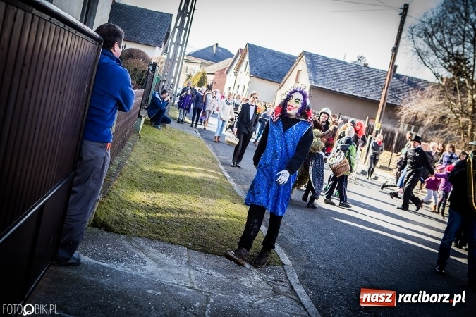 Zdjęcie w galerii na portalu naszraciborz.pl: Wodzenie niedźwiedzia - tradycyjne ostatki w Samborowicach wiadomości z regionu
