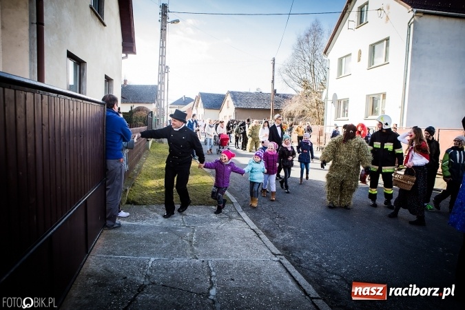 Zdjęcie w galerii na portalu naszraciborz.pl: Wodzenie niedźwiedzia - tradycyjne ostatki w Samborowicach wiadomości z regionu
