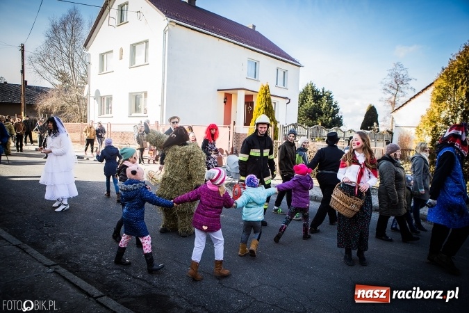 Zdjęcie w galerii na portalu naszraciborz.pl: Wodzenie niedźwiedzia - tradycyjne ostatki w Samborowicach wiadomości z regionu