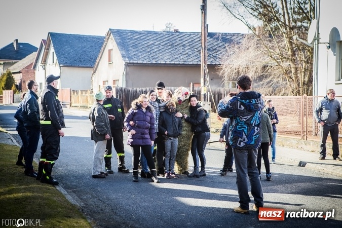 Zdjęcie w galerii na portalu naszraciborz.pl: Wodzenie niedźwiedzia - tradycyjne ostatki w Samborowicach wiadomości z regionu