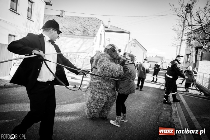 Zdjęcie w galerii na portalu naszraciborz.pl: Wodzenie niedźwiedzia - tradycyjne ostatki w Samborowicach wiadomości z regionu