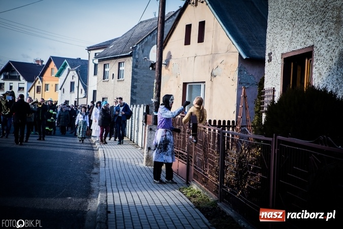 Zdjęcie w galerii na portalu naszraciborz.pl: Wodzenie niedźwiedzia - tradycyjne ostatki w Samborowicach wiadomości z regionu