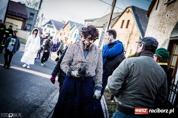Zdjęcie w galerii na portalu naszraciborz.pl: Wodzenie niedźwiedzia - tradycyjne ostatki w Samborowicach wiadomości z regionu