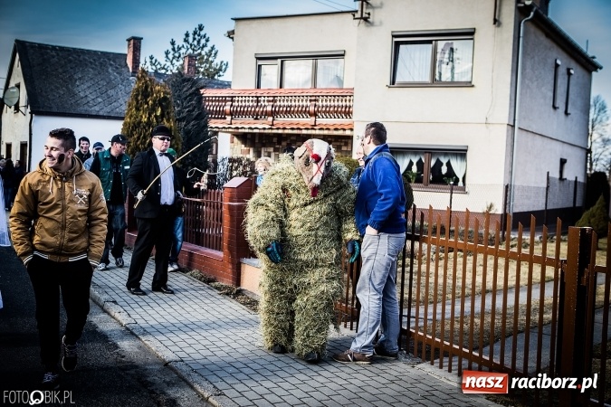 Zdjęcie w galerii na portalu naszraciborz.pl: Wodzenie niedźwiedzia - tradycyjne ostatki w Samborowicach wiadomości z regionu