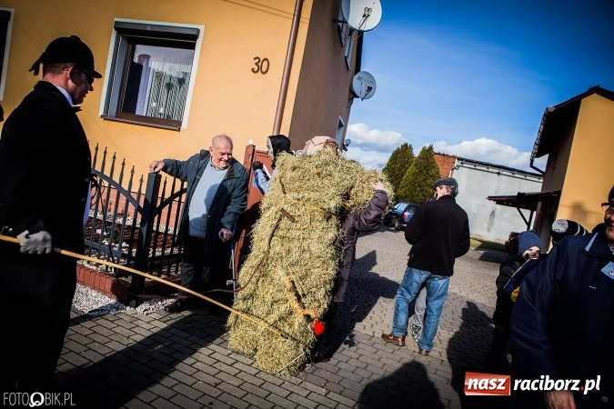 Zdjęcie w galerii na portalu naszraciborz.pl: Wodzenie niedźwiedzia - tradycyjne ostatki w Samborowicach wiadomości z regionu
