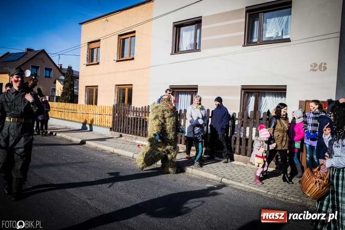 Zdjęcie w galerii na portalu naszraciborz.pl: Wodzenie niedźwiedzia - tradycyjne ostatki w Samborowicach wiadomości z regionu