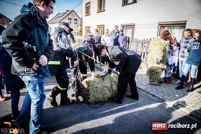 Zdjęcie w galerii na portalu naszraciborz.pl: Wodzenie niedźwiedzia - tradycyjne ostatki w Samborowicach wiadomości z regionu