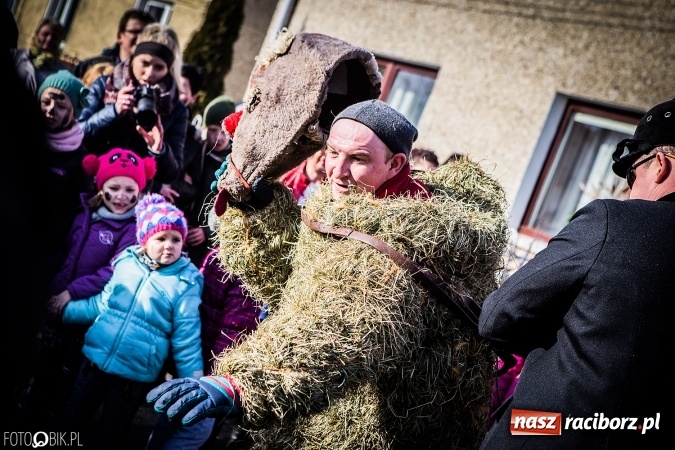 Zdjęcie w galerii na portalu naszraciborz.pl: Wodzenie niedźwiedzia - tradycyjne ostatki w Samborowicach wiadomości z regionu