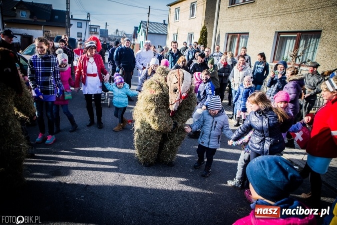 Zdjęcie w galerii na portalu naszraciborz.pl: Wodzenie niedźwiedzia - tradycyjne ostatki w Samborowicach wiadomości z regionu