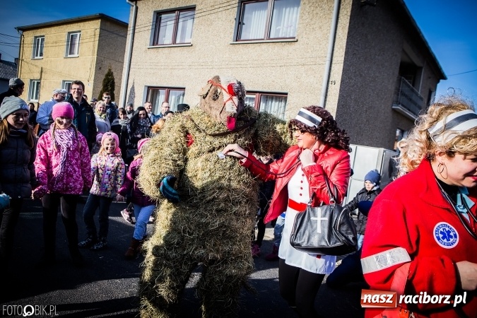 Zdjęcie w galerii na portalu naszraciborz.pl: Wodzenie niedźwiedzia - tradycyjne ostatki w Samborowicach wiadomości z regionu