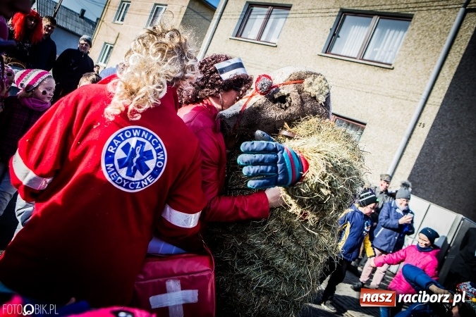Zdjęcie w galerii na portalu naszraciborz.pl: Wodzenie niedźwiedzia - tradycyjne ostatki w Samborowicach wiadomości z regionu