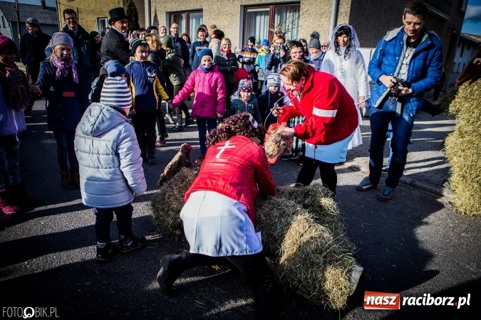 Zdjęcie w galerii na portalu naszraciborz.pl: Wodzenie niedźwiedzia - tradycyjne ostatki w Samborowicach wiadomości z regionu