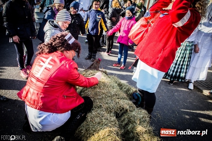 Zdjęcie w galerii na portalu naszraciborz.pl: Wodzenie niedźwiedzia - tradycyjne ostatki w Samborowicach wiadomości z regionu