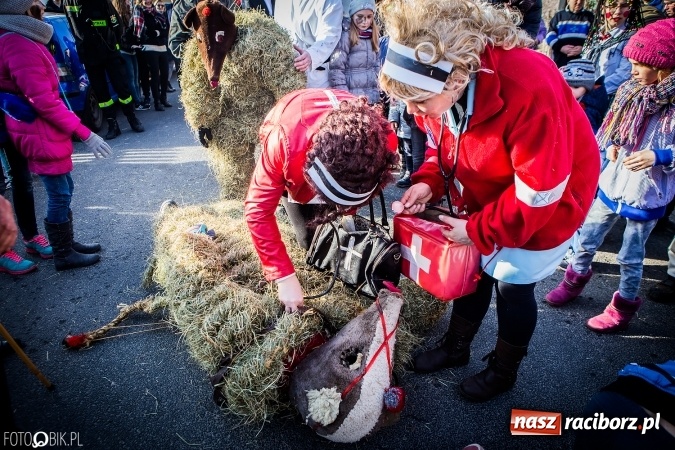 Zdjęcie w galerii na portalu naszraciborz.pl: Wodzenie niedźwiedzia - tradycyjne ostatki w Samborowicach wiadomości z regionu