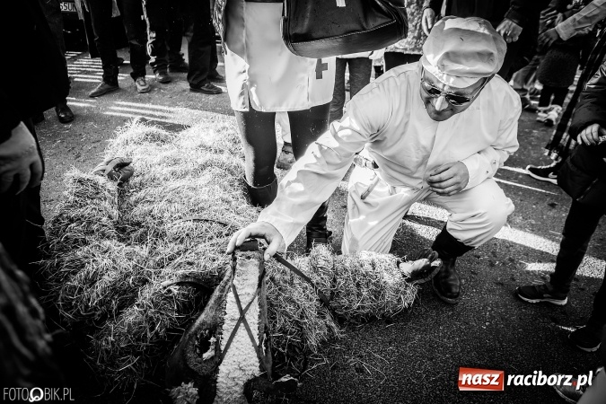 Zdjęcie w galerii na portalu naszraciborz.pl: Wodzenie niedźwiedzia - tradycyjne ostatki w Samborowicach wiadomości z regionu