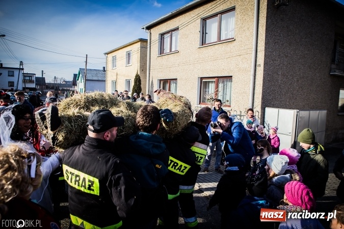 Zdjęcie w galerii na portalu naszraciborz.pl: Wodzenie niedźwiedzia - tradycyjne ostatki w Samborowicach wiadomości z regionu