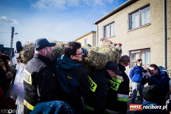 Zdjęcie w galerii na portalu naszraciborz.pl: Wodzenie niedźwiedzia - tradycyjne ostatki w Samborowicach wiadomości z regionu