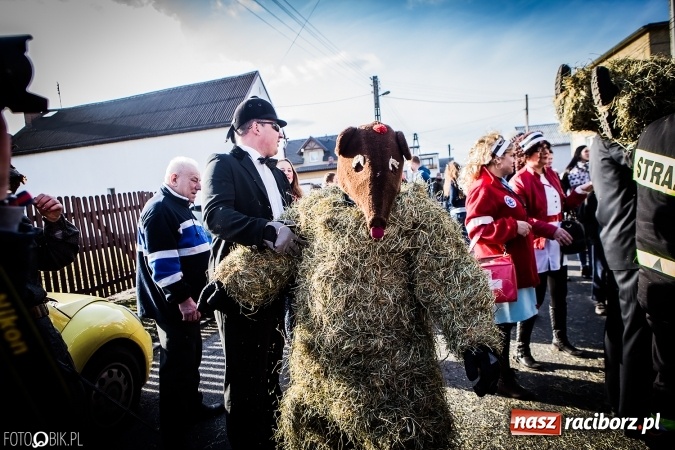 Zdjęcie w galerii na portalu naszraciborz.pl: Wodzenie niedźwiedzia - tradycyjne ostatki w Samborowicach wiadomości z regionu