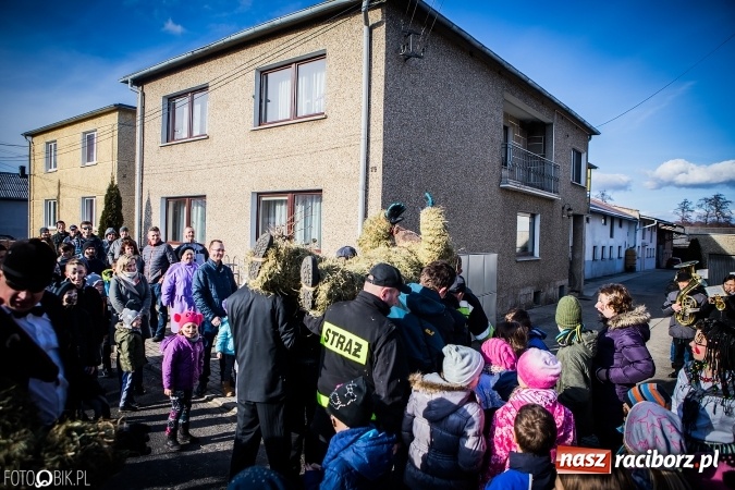 Zdjęcie w galerii na portalu naszraciborz.pl: Wodzenie niedźwiedzia - tradycyjne ostatki w Samborowicach wiadomości z regionu