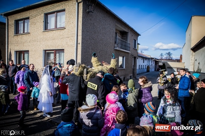 Zdjęcie w galerii na portalu naszraciborz.pl: Wodzenie niedźwiedzia - tradycyjne ostatki w Samborowicach wiadomości z regionu