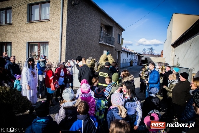 Zdjęcie w galerii na portalu naszraciborz.pl: Wodzenie niedźwiedzia - tradycyjne ostatki w Samborowicach wiadomości z regionu