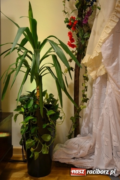 Zdjęcie w galerii na portalu naszraciborz.pl: Lwowska muzyka, przepiękne stroje i dekoracje, czyli Lwowska domówka na Zamku Piastowskim  wiadomości z regionu