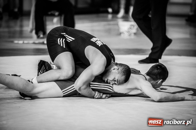 Zdjęcie w galerii na portalu naszraciborz.pl: Puchar Polski w zapasach w Rudniku wiadomości z regionu