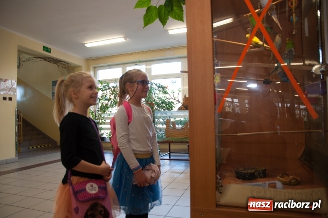 Zdjęcie w galerii na portalu naszraciborz.pl: Książęta Raciborscy? Od lat patronują raciborskiej szkole! Dni otwarte w SP18 wiadomości z regionu