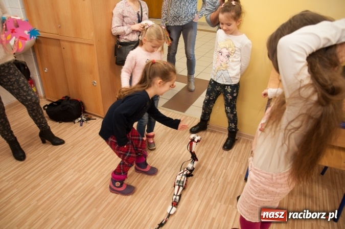 Zdjęcie w galerii na portalu naszraciborz.pl: Książęta Raciborscy? Od lat patronują raciborskiej szkole! Dni otwarte w SP18 wiadomości z regionu