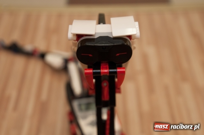 Zdjęcie w galerii na portalu naszraciborz.pl: Książęta Raciborscy? Od lat patronują raciborskiej szkole! Dni otwarte w SP18 wiadomości z regionu