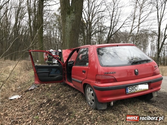Zdjęcie w galerii na portalu naszraciborz.pl: Wypadek w Krowiarkach - kierowca peugeota uderzył w drzewo, po kilku godzinach zmarł wiadomości z regionu