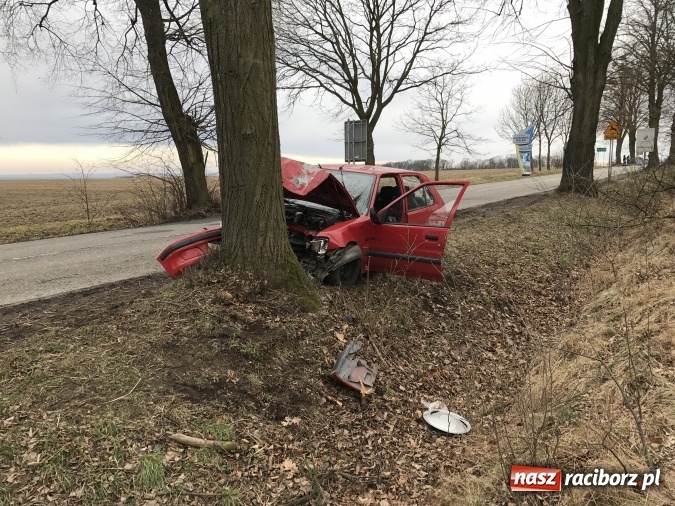 Zdjęcie w galerii na portalu naszraciborz.pl: Wypadek w Krowiarkach - kierowca peugeota uderzył w drzewo, po kilku godzinach zmarł wiadomości z regionu