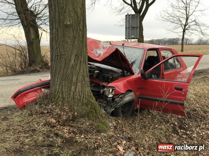Zdjęcie w galerii na portalu naszraciborz.pl: Wypadek w Krowiarkach - kierowca peugeota uderzył w drzewo, po kilku godzinach zmarł wiadomości z regionu