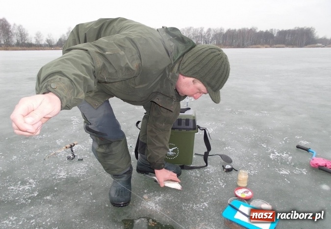 Zdjęcie w galerii na portalu naszraciborz.pl: Sandacz 69 cm złowiony! Na Babiczoku łowili pod lodem wiadomości z regionu