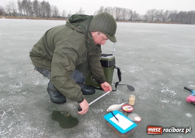 Zdjęcie w galerii na portalu naszraciborz.pl: Sandacz 69 cm złowiony! Na Babiczoku łowili pod lodem wiadomości z regionu