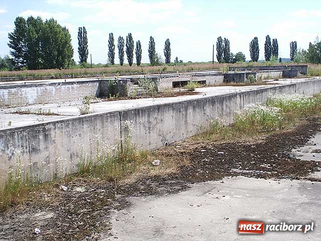 Zdjęcie w galerii na portalu naszraciborz.pl: Zróbcie z tym porządek wiadomości z regionu