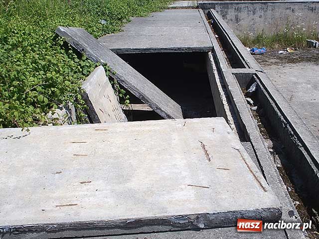 Zdjęcie w galerii na portalu naszraciborz.pl: Zróbcie z tym porządek wiadomości z regionu