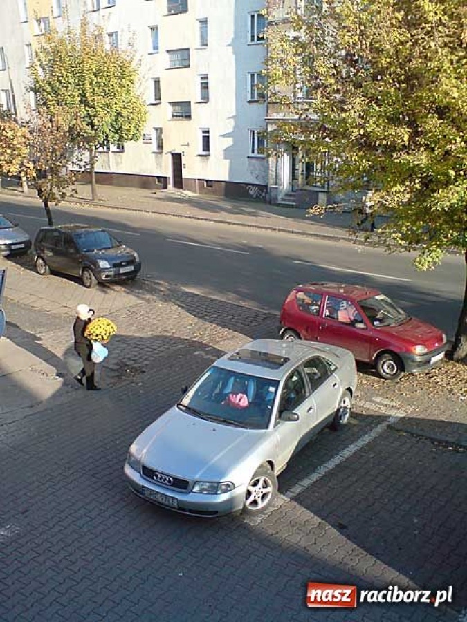 Zdjęcie w galerii na portalu naszraciborz.pl: Zróbcie z tym porządek wiadomości z regionu