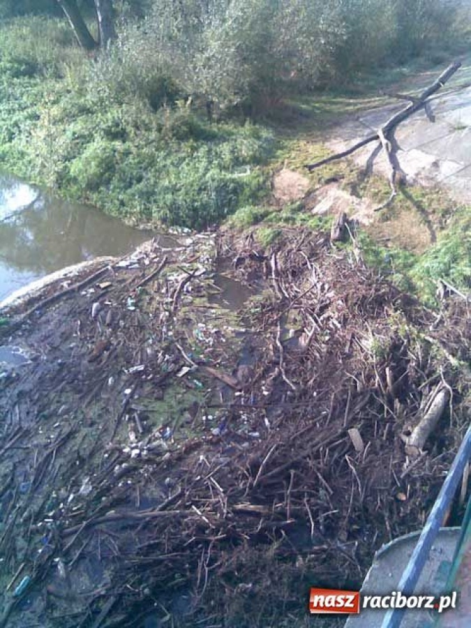 Zdjęcie w galerii na portalu naszraciborz.pl: Zróbcie z tym porządek wiadomości z regionu