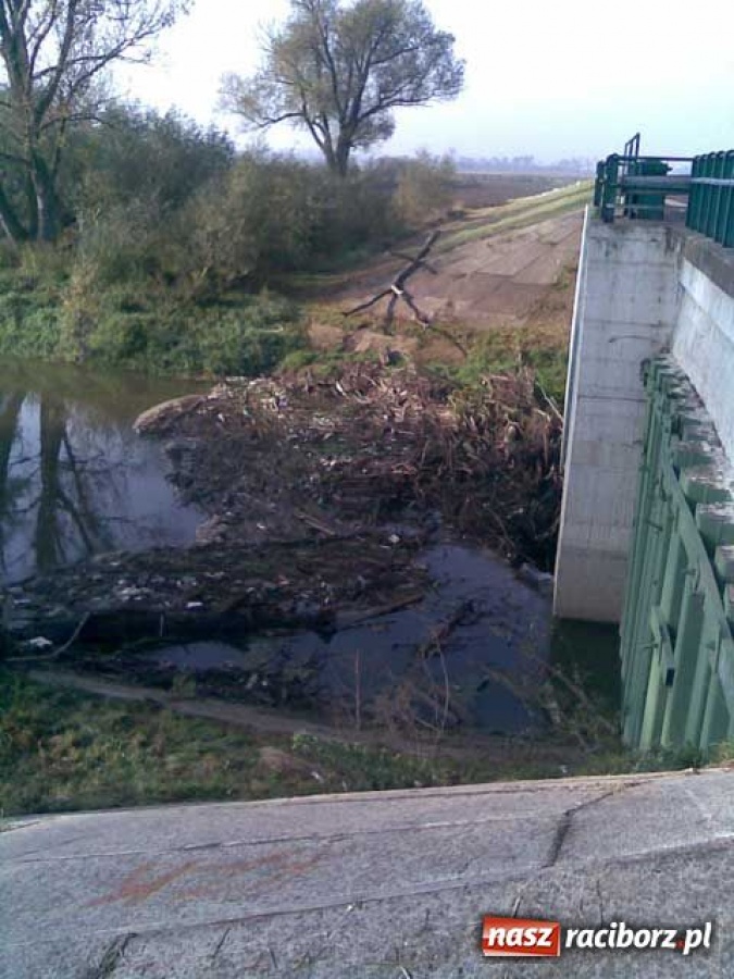 Zdjęcie w galerii na portalu naszraciborz.pl: Zróbcie z tym porządek wiadomości z regionu
