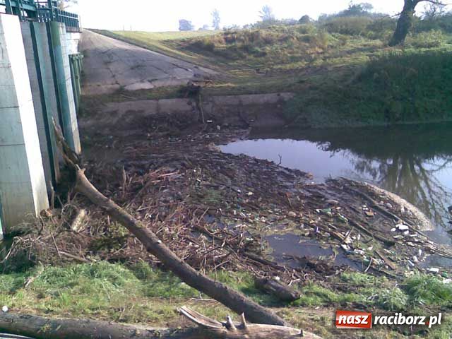 Zdjęcie w galerii na portalu naszraciborz.pl: Zróbcie z tym porządek wiadomości z regionu