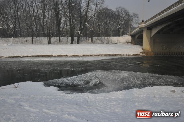 Zdjęcie w galerii na portalu naszraciborz.pl: Marian Hampel przepłynął dziś Odrę wiadomości z regionu