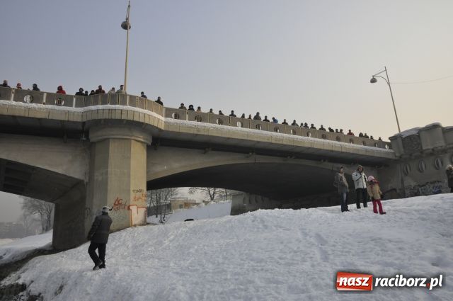 Zdjęcie w galerii na portalu naszraciborz.pl: Marian Hampel przepłynął dziś Odrę wiadomości z regionu