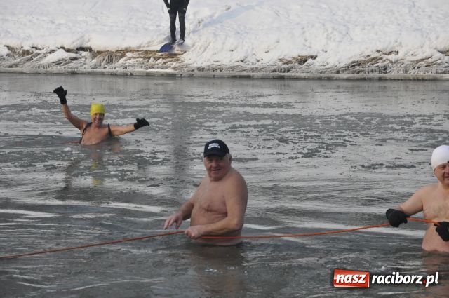 Zdjęcie w galerii na portalu naszraciborz.pl: Marian Hampel przepłynął dziś Odrę wiadomości z regionu
