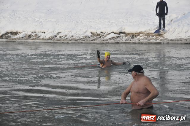 Zdjęcie w galerii na portalu naszraciborz.pl: Marian Hampel przepłynął dziś Odrę wiadomości z regionu
