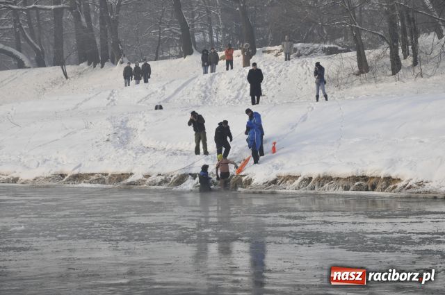 Zdjęcie w galerii na portalu naszraciborz.pl: Marian Hampel przepłynął dziś Odrę wiadomości z regionu