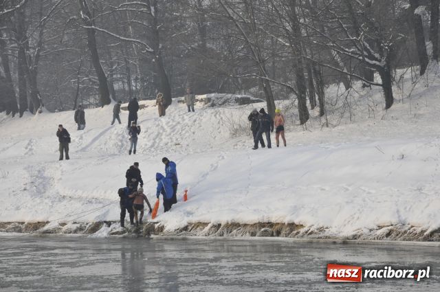 Zdjęcie w galerii na portalu naszraciborz.pl: Marian Hampel przepłynął dziś Odrę wiadomości z regionu
