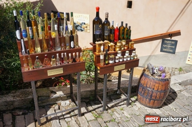 Zdjęcie w galerii na portalu naszraciborz.pl: Chorwacja czy Czarnogóra? Z Orinoko tu i tu dojedziesz bezpośrednio z Raciborza wiadomości z regionu